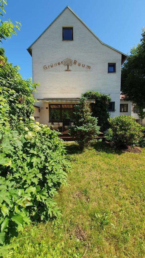 Gasthof Gruener Baum Кирхберг ам Вексел Екстериор снимка