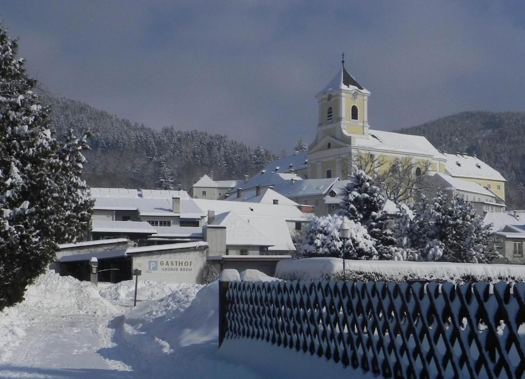 Gasthof Gruener Baum Кирхберг ам Вексел Екстериор снимка