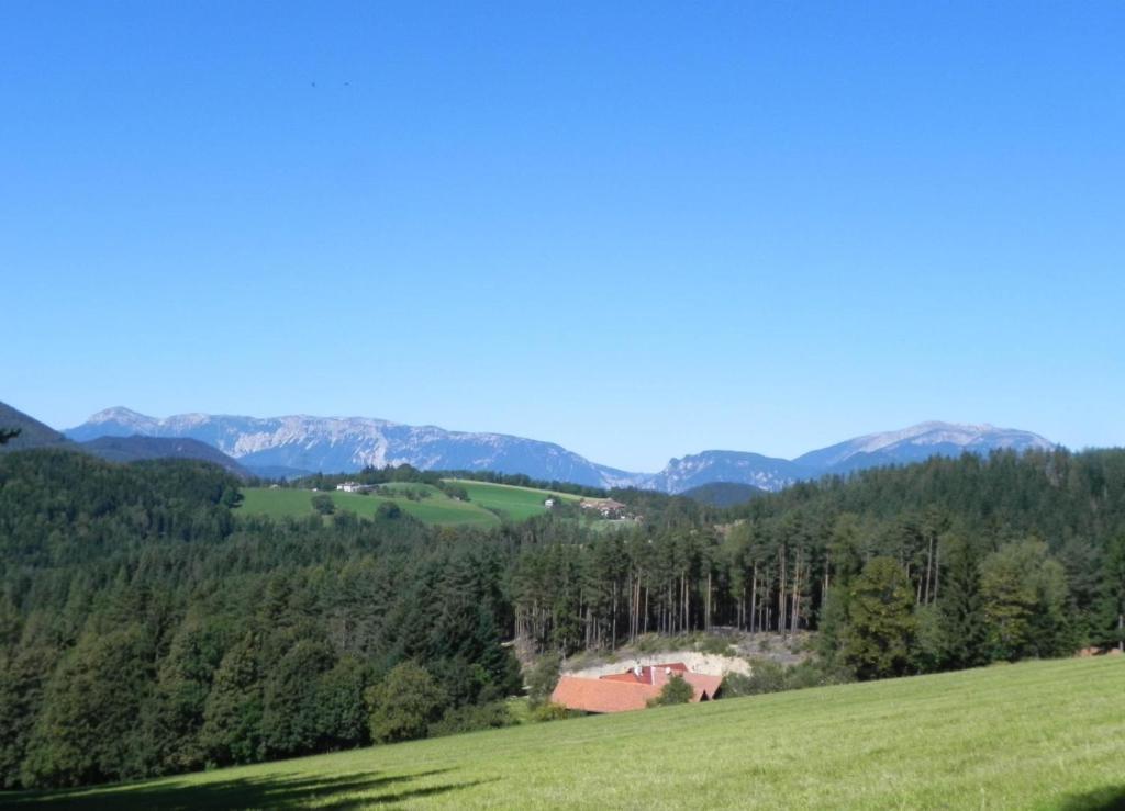 Gasthof Gruener Baum Кирхберг ам Вексел Екстериор снимка