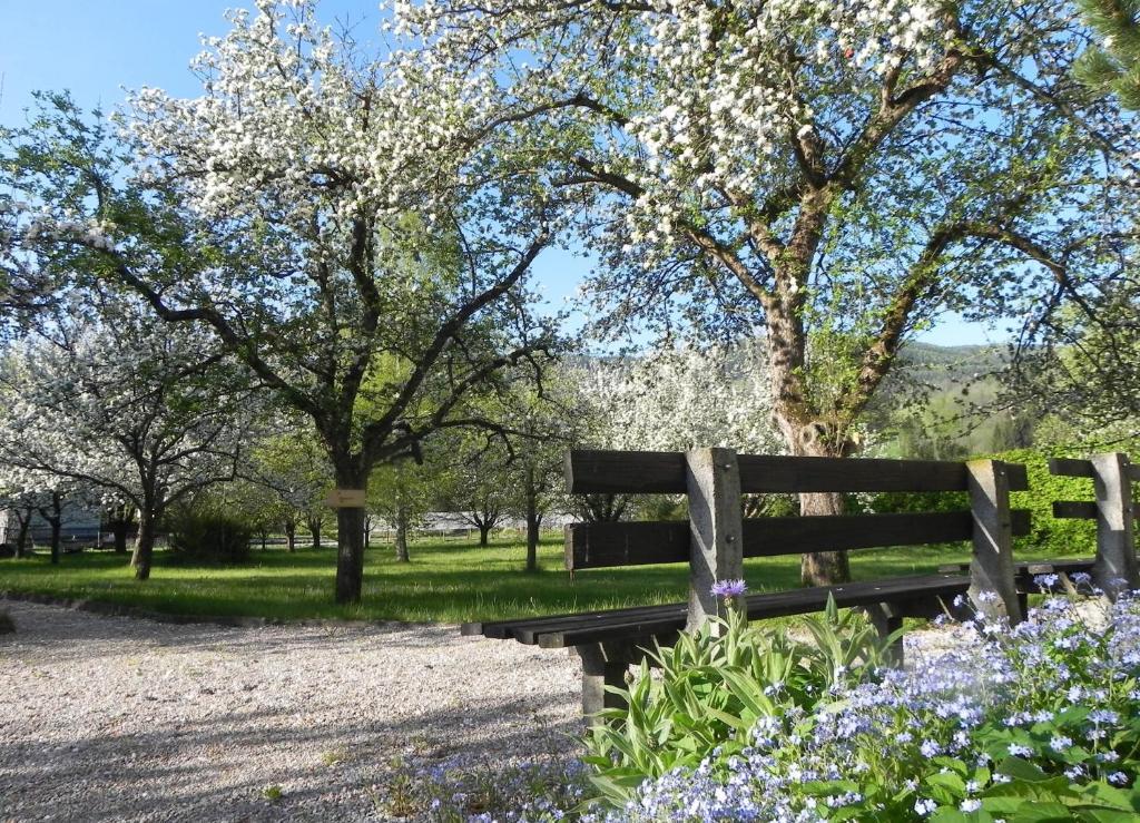 Gasthof Gruener Baum Кирхберг ам Вексел Екстериор снимка